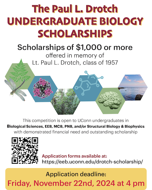 Image advertising Drotch Scholarship (click to download appllcation)